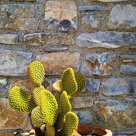 New Apartment, Amazing View Near Pelion Lägenhet