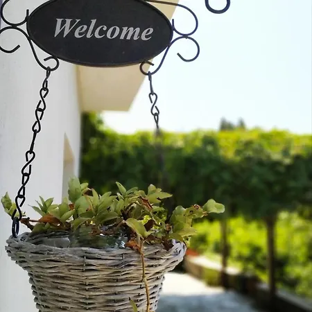 Daire New Apartment, Amazing View Near Pelion