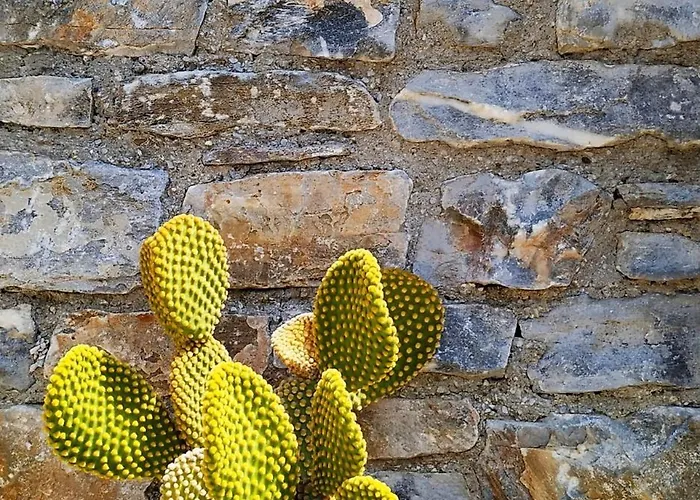 New Apartment, Amazing View Near Pelion Apartment