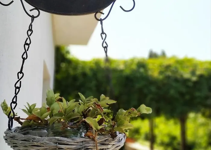 Apartment New Apartment, Amazing View Near Pelion